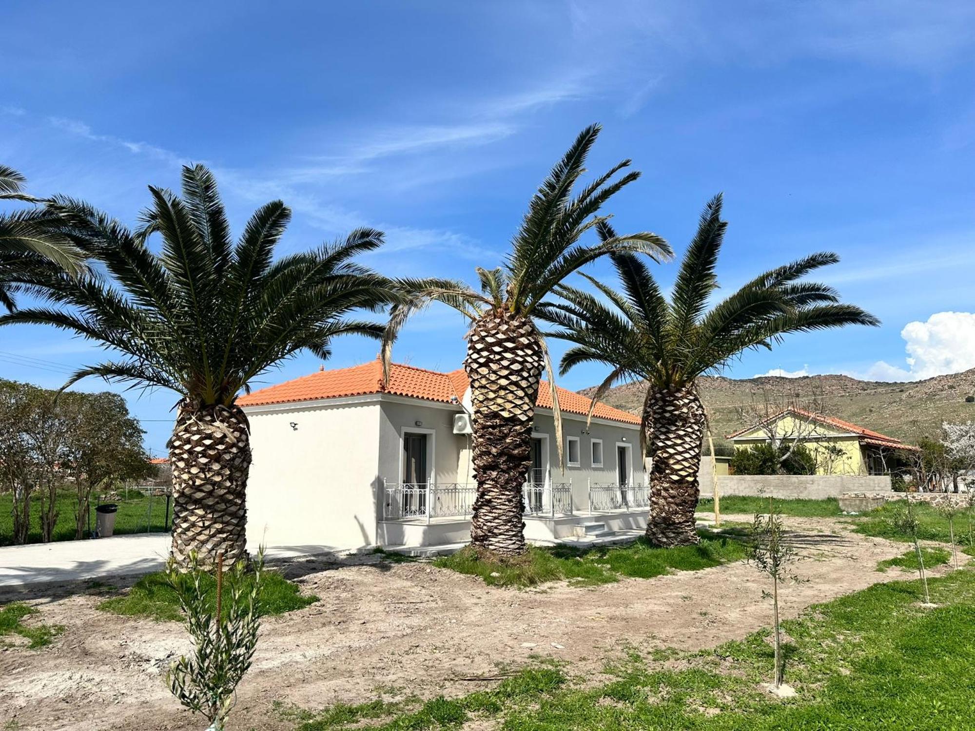 Ktimavita Apartment 1 Petra  Exteriér fotografie